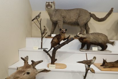 Los tres tesoros ocultos del IES Jorque Manrique