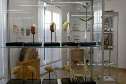 Los tres tesoros ocultos del IES Jorque Manrique