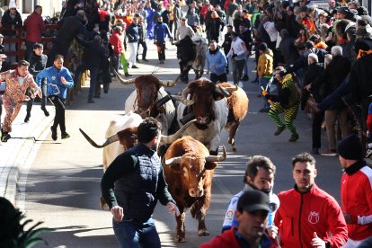 Carnaval del Toro en Ciudad Rodrigo (Salamanca)
