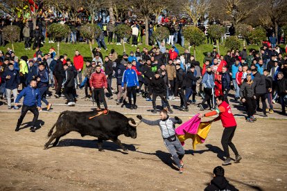 Carnaval del Toro en Ciudad Rodrigo (Salamanca)