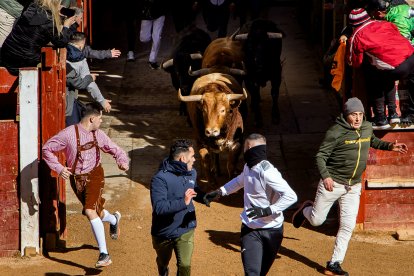 Carnaval del Toro en Ciudad Rodrigo (Salamanca)