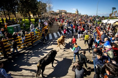 Carnaval del Toro en Ciudad Rodrigo (Salamanca)