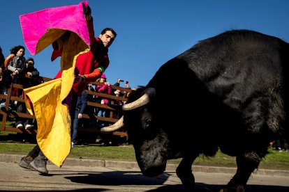 Carnaval del Toro en Ciudad Rodrigo (Salamanca)