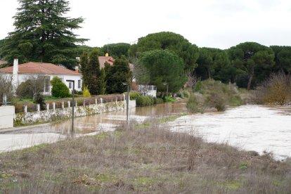 Crecida del río Duero a su paso por el barrio vallisoletano de Puente Duero