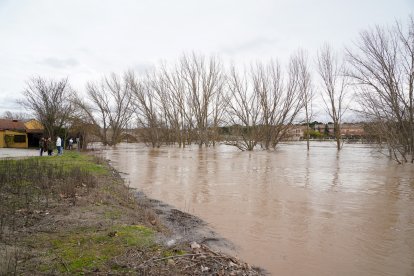 Crecida del río Duero a su paso por el barrio vallisoletano de Puente Duero