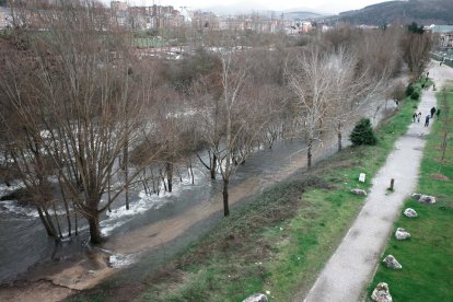 Efectos del temporal de lluvias y viento en Ponferrada