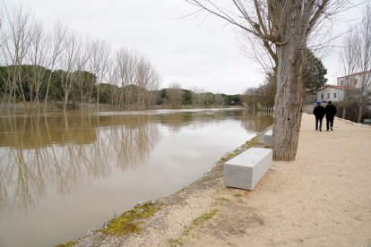 Crecida del río Cega, en Viana de Cega (Valladolid)