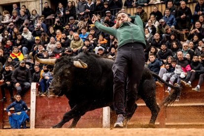 Carnaval del Toro en Ciudad Rodrigo (Salamanca)