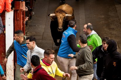 Carnaval del Toro en Ciudad Rodrigo (Salamanca)