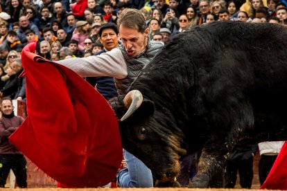 Carnaval del Toro en Ciudad Rodrigo (Salamanca)