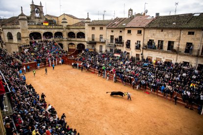 Carnaval del Toro en Ciudad Rodrigo (Salamanca)