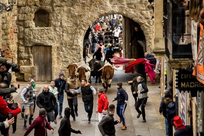 Carnaval del Toro en Ciudad Rodrigo (Salamanca)