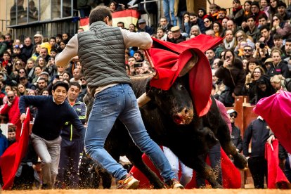 Carnaval del Toro en Ciudad Rodrigo (Salamanca)