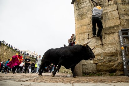 Carnaval del Toro en Ciudad Rodrigo (Salamanca)