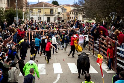 Carnaval del Toro en Ciudad Rodrigo (Salamanca)