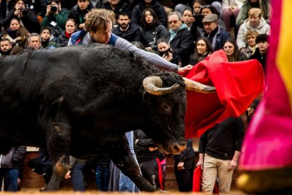Carnaval del Toro en Ciudad Rodrigo (Salamanca)