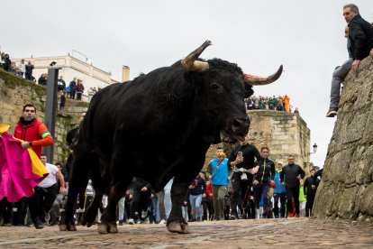 Carnaval del Toro en Ciudad Rodrigo (Salamanca)