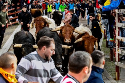 Carnaval del Toro en Ciudad Rodrigo (Salamanca)