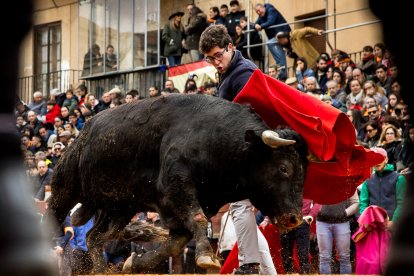 Carnaval del Toro en Ciudad Rodrigo (Salamanca)