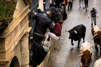 Carnaval del Toro en Ciudad Rodrigo (Salamanca)
