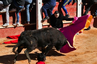 Martes del Carnaval del Toro de Ciudad Rodrigo (Salamanca)