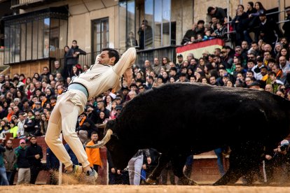 Martes del Carnaval del Toro de Ciudad Rodrigo (Salamanca)