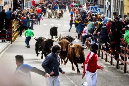 Martes del Carnaval del Toro de Ciudad Rodrigo (Salamanca)