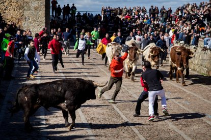 Martes del Carnaval del Toro de Ciudad Rodrigo (Salamanca)