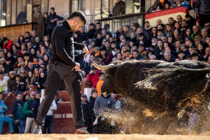 Martes del Carnaval del Toro de Ciudad Rodrigo (Salamanca)