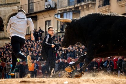 Martes del Carnaval del Toro de Ciudad Rodrigo (Salamanca)