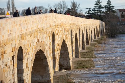 Numerosas personas se acercan a contemplar la crecida del Río Duero a su paso por Zamora