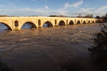 Numerosas personas se acercan a contemplar la crecida del Río Duero a su paso por Zamora
