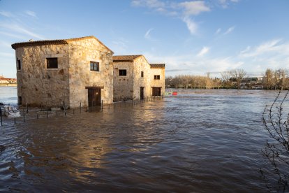 Numerosas personas se acercan a contemplar la crecida del Río Duero a su paso por Zamora