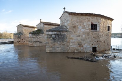 Numerosas personas se acercan a contemplar la crecida del Río Duero a su paso por Zamora