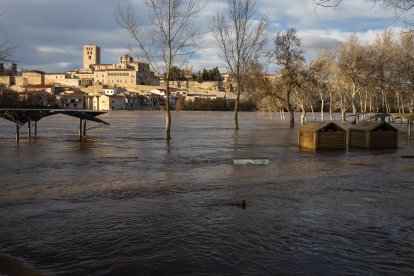 Numerosas personas se acercan a contemplar la crecida del Río Duero a su paso por Zamora