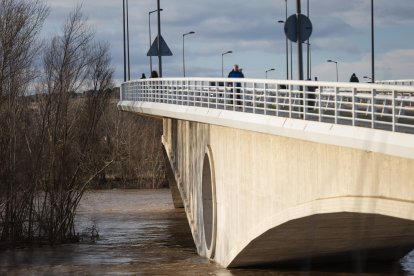Numerosas personas se acercan a contemplar la crecida del Río Duero a su paso por Zamora