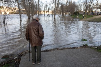 Numerosas personas se acercan a contemplar la crecida del Río Duero a su paso por Zamora