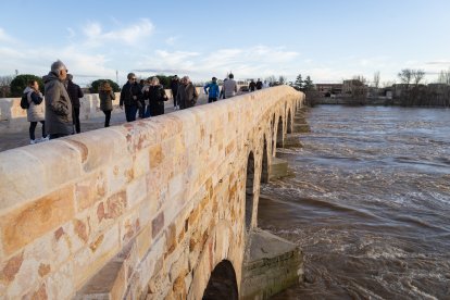 Numerosas personas se acercan a contemplar la crecida del Río Duero a su paso por Zamora