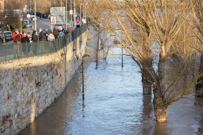 Numerosas personas se acercan a contemplar la crecida del Río Duero a su paso por Zamora