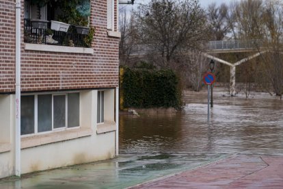 Casas y calles afectadas por la crecida del río Duero en Tudela de Duero