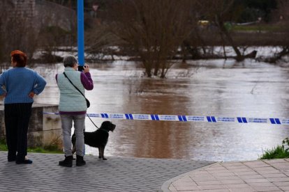 Casas y calles afectadas por la crecida del río Duero en Tudela de Duero
