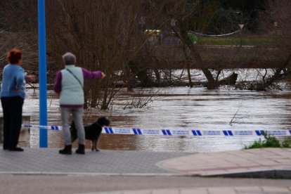 Casas y calles afectadas por la crecida del río Duero en Tudela de Duero