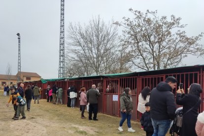 Ediciones anteriores de la Feria del Ángel y de Caballo en Fuentepelayo