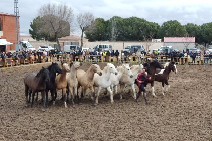 Ediciones anteriores de la Feria del Ángel y de Caballo en Fuentepelayo