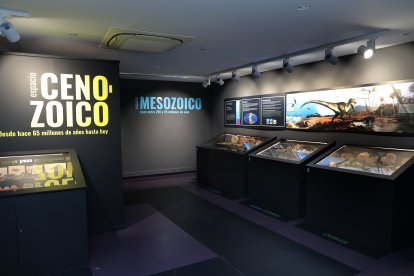 El aula paleontológica del centro cultural 'Jesús Meneses' de Villamuriel de Cerrato custodia 10.000 fósiles y mantiene vivo el legado de Rafael Martín