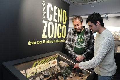 El aula paleontológica  del centro cultural 'Jesús Meneses' de Villamuriel de Cerrato  custodia 10.000 fósiles y mantiene vivo el legado de Rafael Martín
