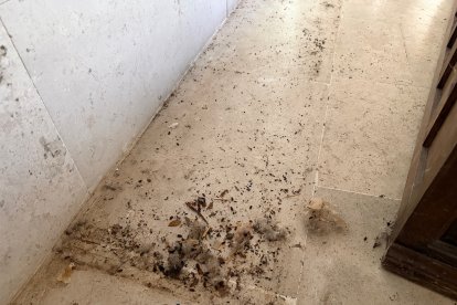 Estado en el que se ha recibido el Monasterio de Belorado tras el desahucio