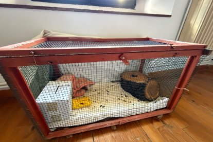 Estado en el que se ha recibido el Monasterio de Belorado tras el desahucio