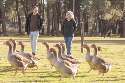 Los fundadores de Pinaroca, Álvaro y Zulema, con sus gansos en el pinar.