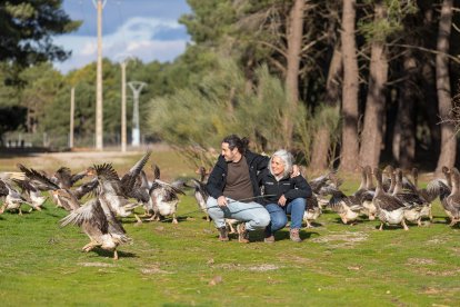 Los fundadores de Pinaroca, Álvaro y Zulema, con sus gansos en el pinar.